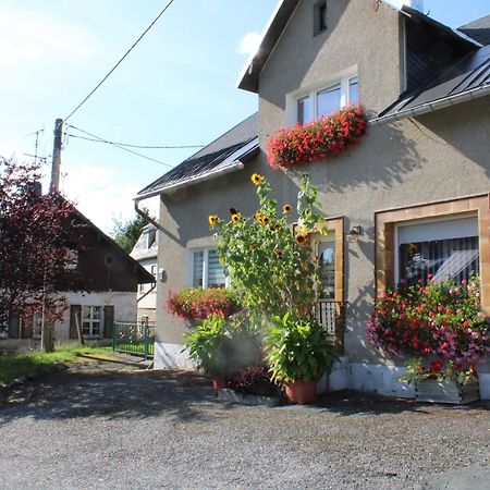 Ferienwohnung Am Muehlbach Klingenthal Exterior foto