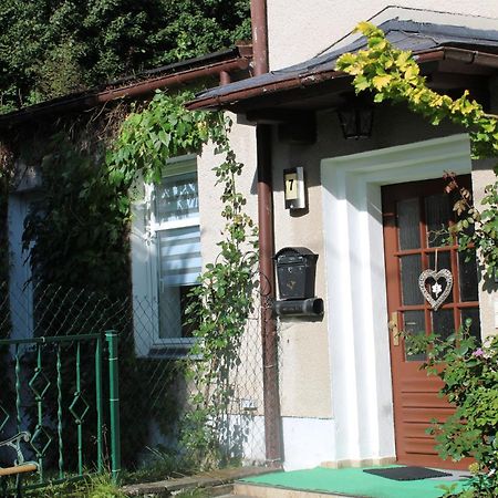 Ferienwohnung Am Muehlbach Klingenthal Exterior foto