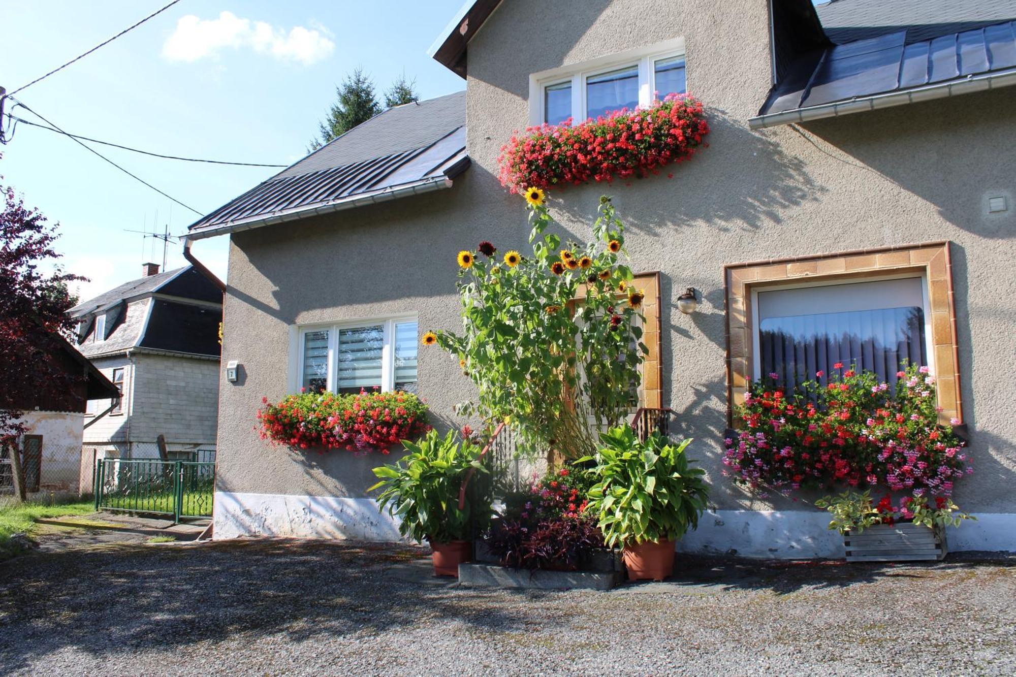 Ferienwohnung Am Muehlbach Klingenthal Exterior foto